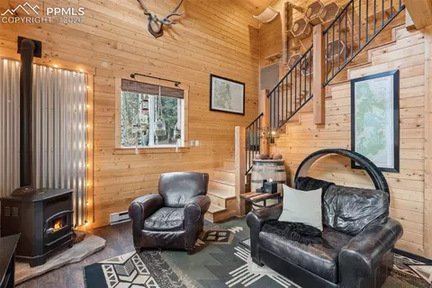 325 Willow Rd, Divide, CO 80814 photo 5