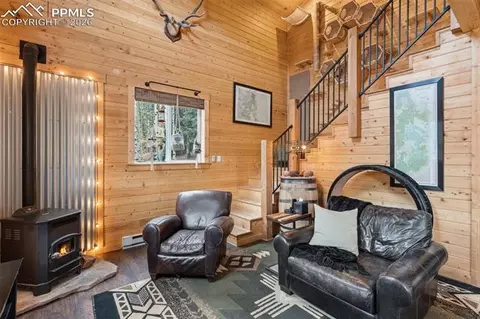 325 Willow Rd, Divide, CO 80814 photo 5