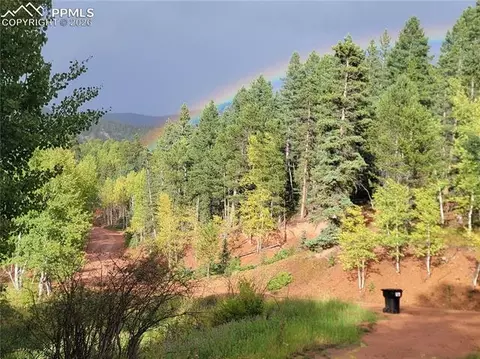 325 Willow Rd, Divide, CO 80814 photo 32