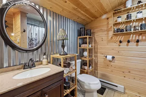 325 Willow Rd, Divide, CO 80814 photo 20