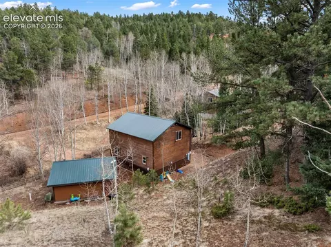 325 Willow Rd, Divide, CO 80814 photo 43