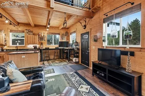 325 Willow Rd, Divide, CO 80814 photo 3