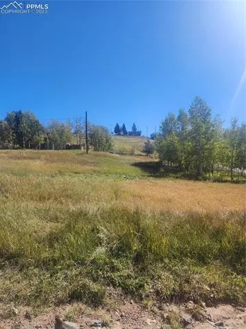 L13-14 B34 Crystal Street, Cripple Creek, CO 80813