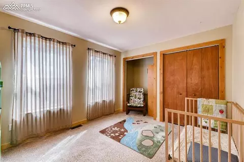 54 Forester Ln, Divide, CO 80814 photo 19