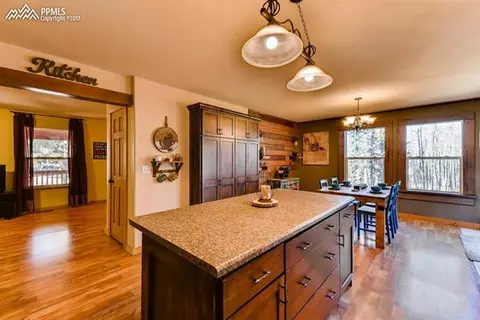 54 Forester Ln, Divide, CO 80814 photo 5