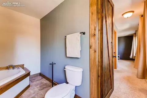 54 Forester Ln, Divide, CO 80814 photo 18