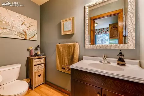 54 Forester Ln, Divide, CO 80814 photo 14
