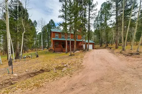54 Forester Ln, Divide, CO 80814 photo 25