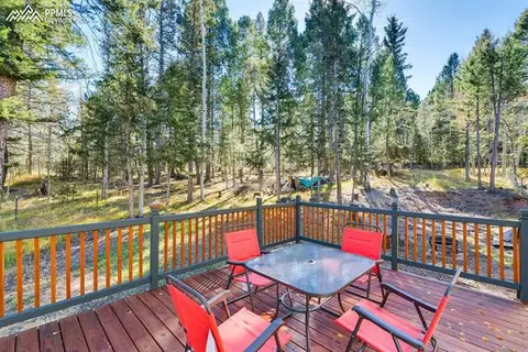 54 Forester Ln, Divide, CO 80814 photo 23