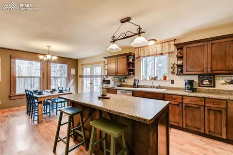 54 Forester Ln, Divide, CO 80814 photo 9