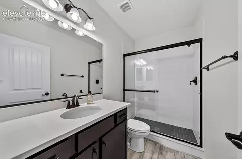 Bath - 12638 Windingwalk Dr, Peyton, CO 80831 photo 5 of 5