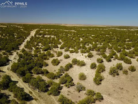 41088 Bear Springs Trl, Model, CO 81059
