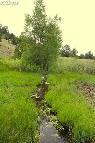 7275 Highway 9, Guffey, CO 80820