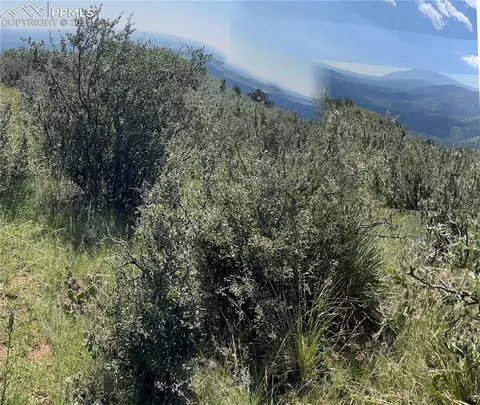 Black Canyon Road, Colorado Springs, CO 80904