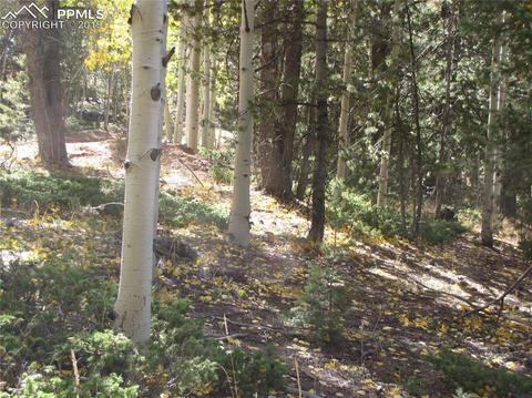 741 Timber Ridge Rd, Divide, CO 80814 photo 5