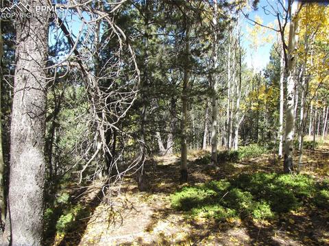 741 Timber Ridge Rd, Divide, CO 80814 photo 6