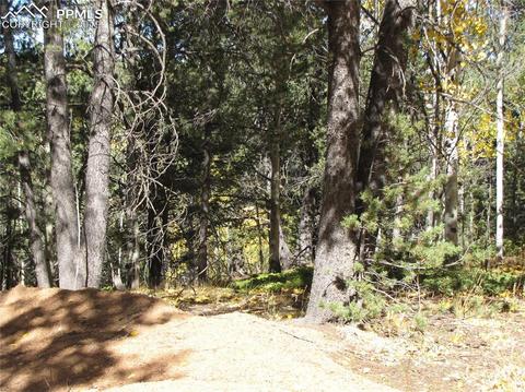 741 Timber Ridge Rd, Divide, CO 80814 photo 3