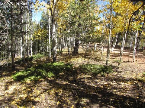 741 Timber Ridge Rd, Divide, CO 80814 photo 2