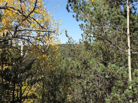 741 Timber Ridge Rd, Divide, CO 80814 photo 1