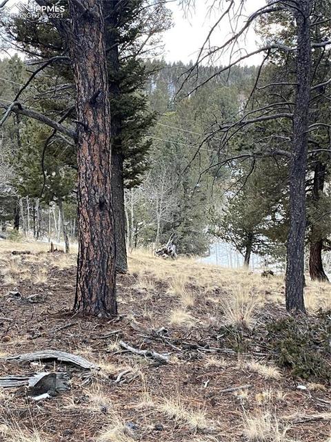 63 Dillon Lake Cir, Divide, CO 80814 photo 5