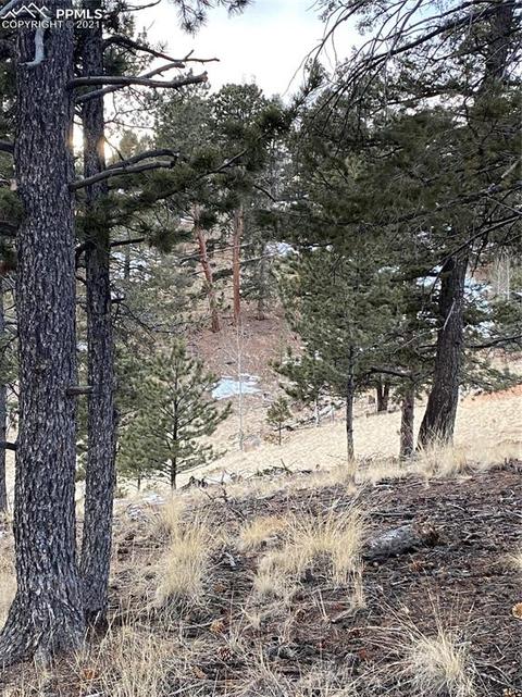 63 Dillon Lake Cir, Divide, CO 80814 photo 6