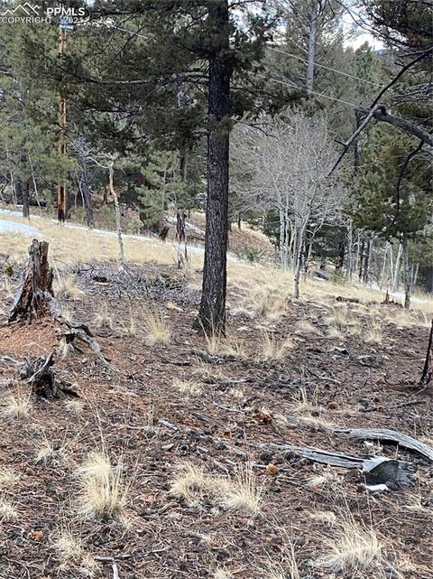 63 Dillon Lake Cir, Divide, CO 80814 photo 1