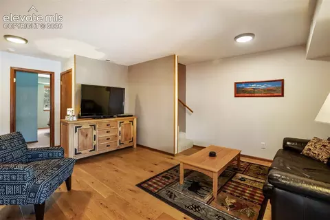 Living - 493 Horseshoe Dr, Divide, CO 80814 photo 4 of 5