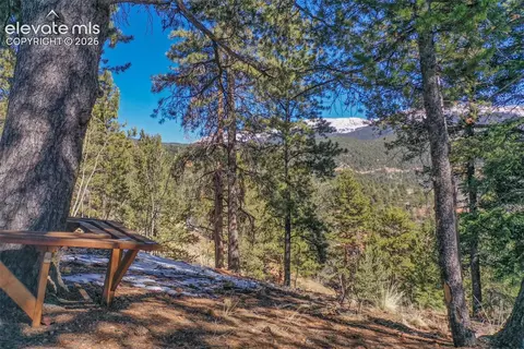 Other - 493 Horseshoe Dr, Divide, CO 80814 photo 4 of 13