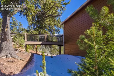 Other - 493 Horseshoe Dr, Divide, CO 80814 photo 5 of 13