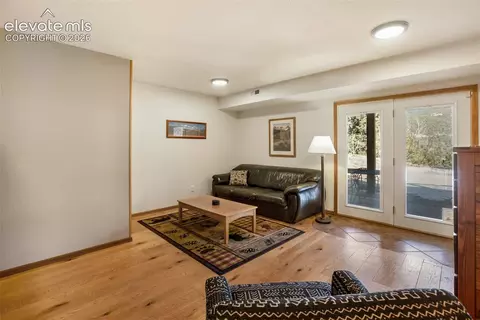 Other - 493 Horseshoe Dr, Divide, CO 80814 photo 10 of 13