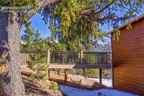 Exterior - 493 Horseshoe Dr, Divide, CO 80814 photo 4 of 7