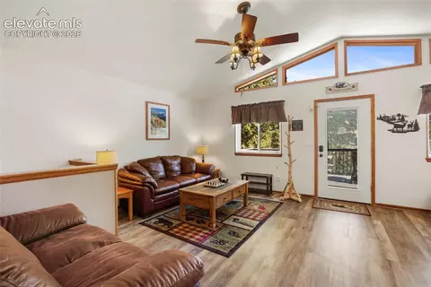 Living - 493 Horseshoe Dr, Divide, CO 80814 photo 3 of 5