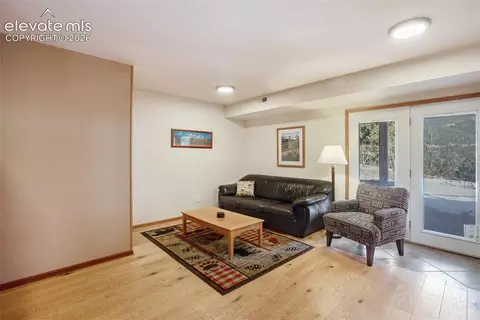 Living - 493 Horseshoe Dr, Divide, CO 80814 photo 5 of 5
