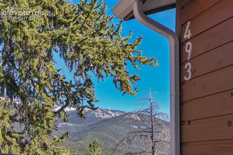 Exterior - 493 Horseshoe Dr, Divide, CO 80814 photo 3 of 7