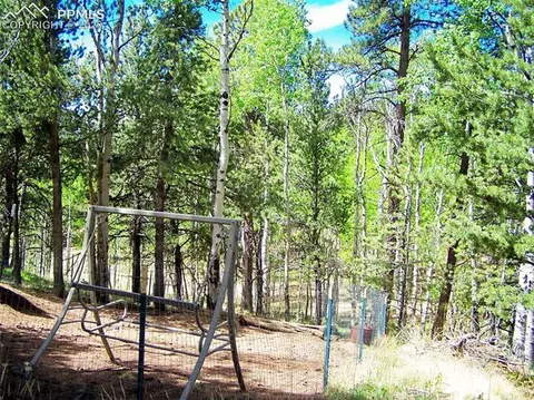 954 Timber Ridge Rd, Divide, CO 80814 photo 3