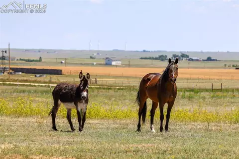 6910 Sengbeil Rd, Yoder, CO 80864 photo 37
