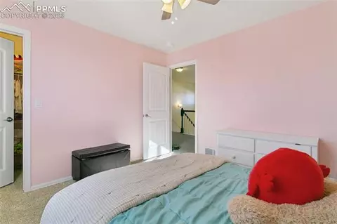 10638 Mount Evans Dr, Peyton, CO 80831 photo 32