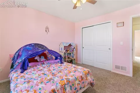 10638 Mount Evans Dr, Peyton, CO 80831 photo 34