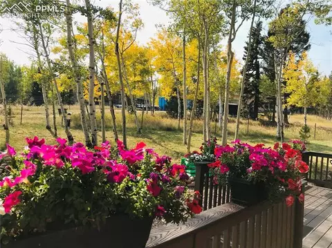 957 Will Stutley Dr, Divide, CO 80814 photo 23