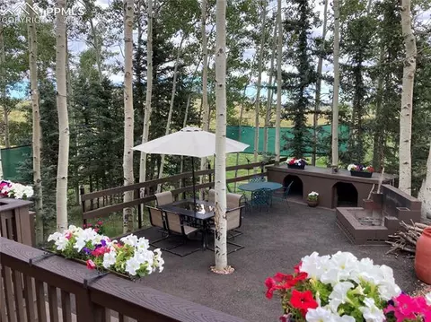 957 Will Stutley Dr, Divide, CO 80814 photo 22