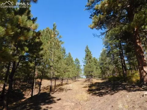 4525 Delaware Dr, Larkspur, CO 80118