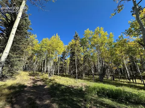 2940 North Rd, Divide, CO 80814 photo 16