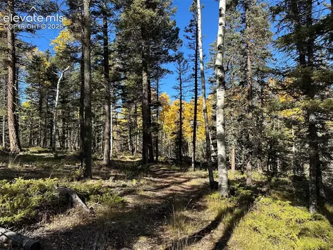 2940 North Rd, Divide, CO 80814 photo 14