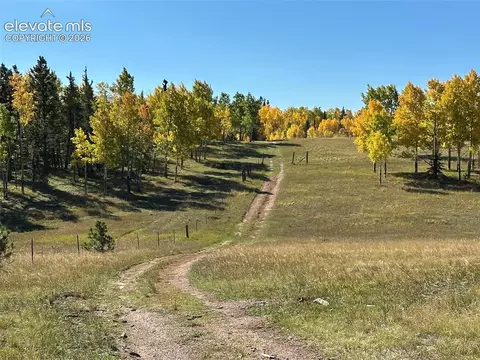 2940 North Rd, Divide, CO 80814 photo 3