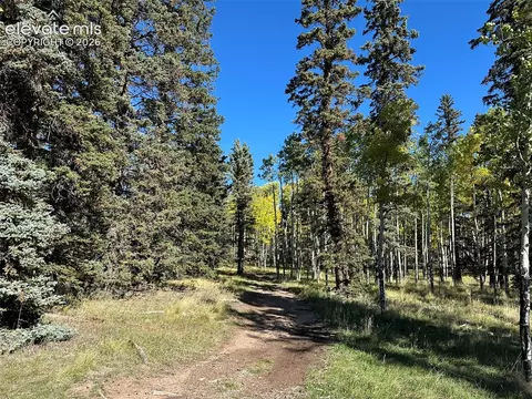 2940 North Rd, Divide, CO 80814 photo 13