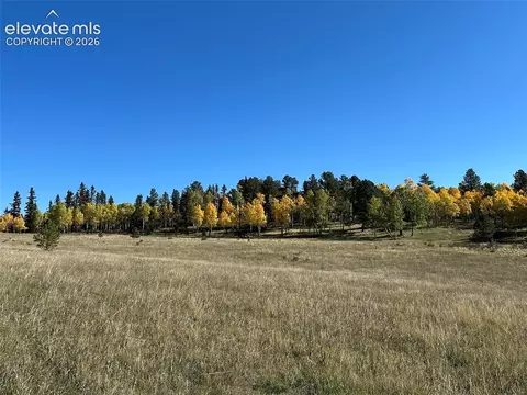 2940 North Rd, Divide, CO 80814 photo 20