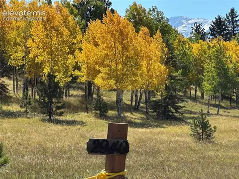 2940 North Rd, Divide, CO 80814 photo 26