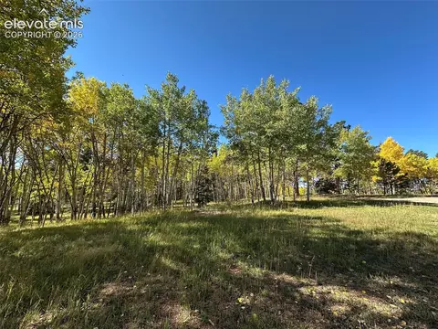2940 North Rd, Divide, CO 80814 photo 11