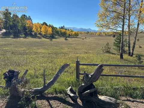 2940 North Rd, Divide, CO 80814 photo 8