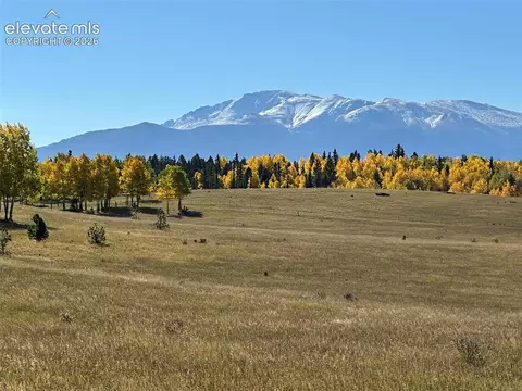 2940 North Rd, Divide, CO 80814 photo 2